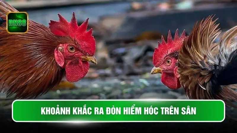 Khoảnh khắc ra đòn hiểm hóc trên sân